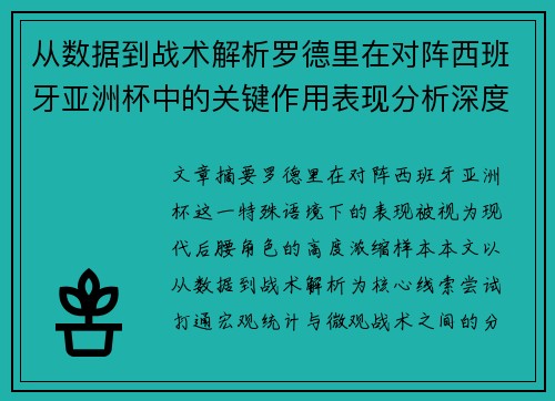从数据到战术解析罗德里在对阵西班牙亚洲杯中的关键作用表现分析深度